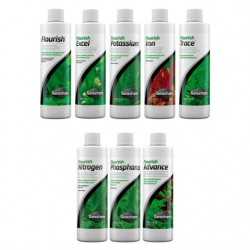 Vendita pacchetto Flourish + Iron + Excel