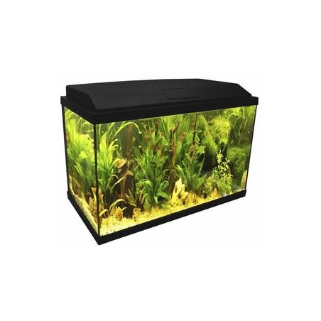 Acquario Rio 125 bianco Juwel con supporto