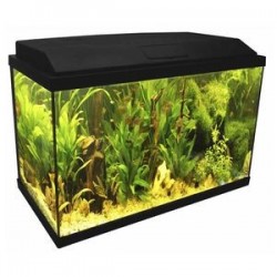 Acquario Genius 40 