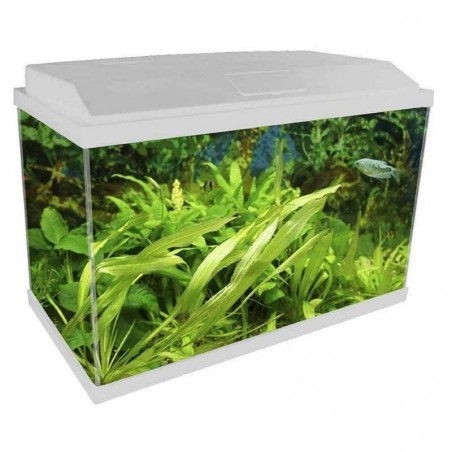 Acquario Genius 40 