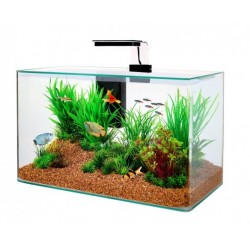 Acquario Clear 40 nero o bianco Zolux