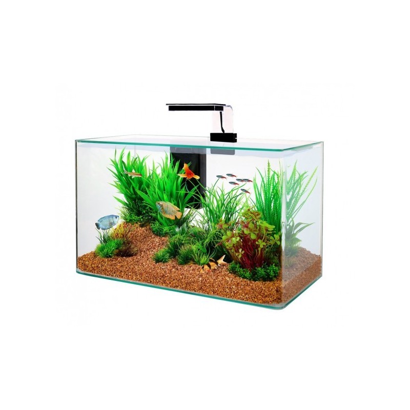 Acquario Clear 40 nero o bianco Zolux