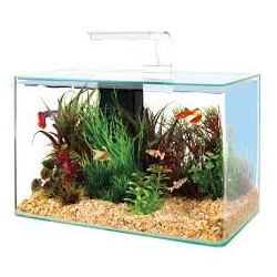 Acquario Rio 125 bianco Juwel con supporto 2