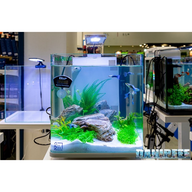 Acquario Rio 125 bianco Juwel con supporto
