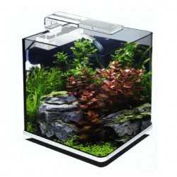 Acquario Rio 125 bianco Juwel con supporto