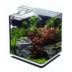 Acquario Nanux 18 litri Blu Bios a LED
