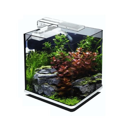 Acquario Rio 125 bianco Juwel con supporto