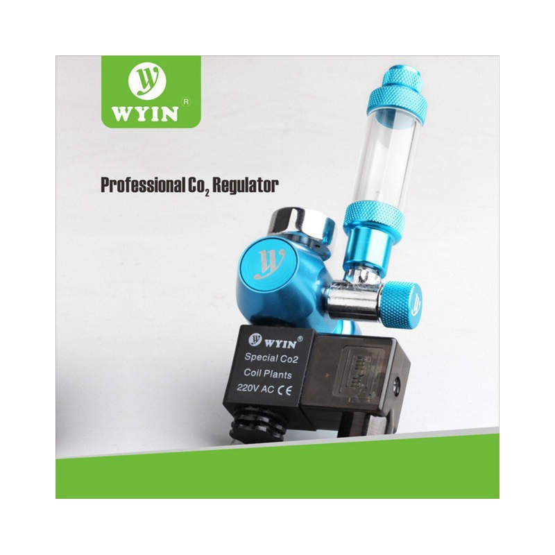 Régulateur professionnel CO2 Wyin