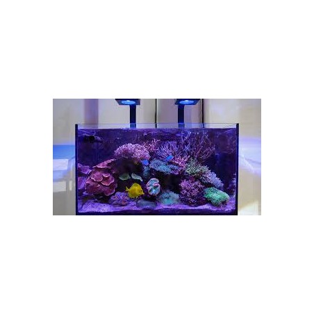 Reefled 90