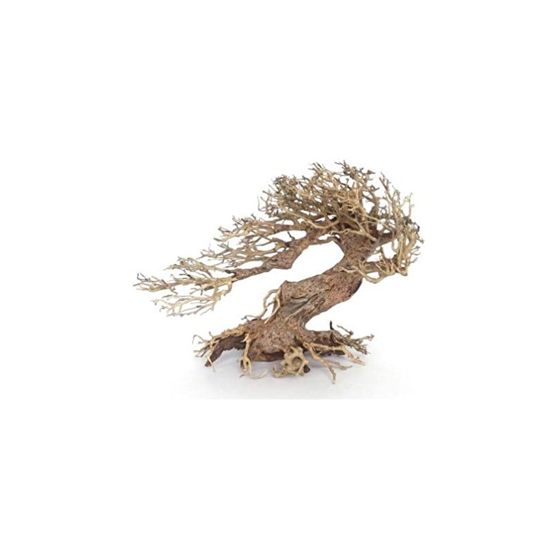 Bonsaï 33 cm vent 3 md amtra