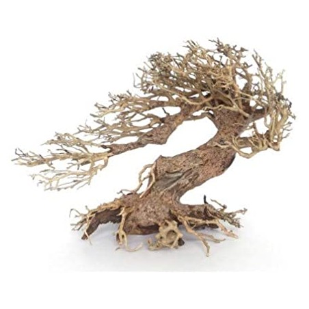 Bonsai 33 cm Wind 3 MD Amtra