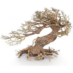 Bonsai 25 cm Wind 3 SM