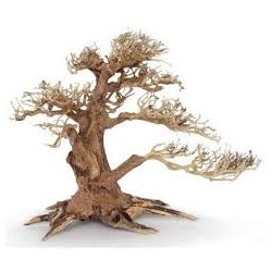 Bonsaï 30 cm vent 4 md