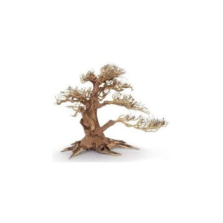 Bonsai 30 cm Wind 4 MD