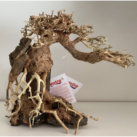 Bonsai 25 cm Wind 7 MD