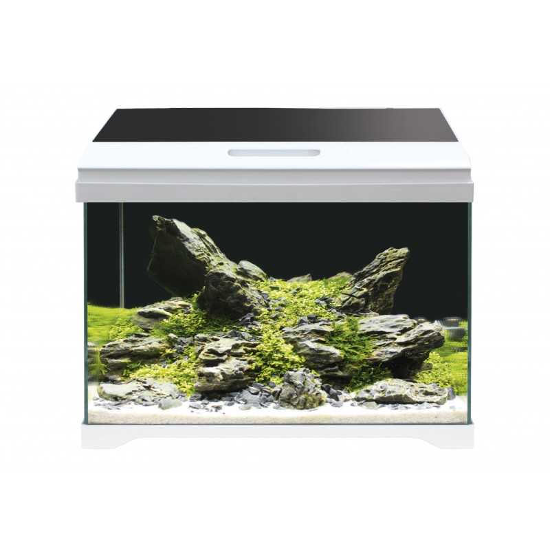 modern tank 50 led amtra 