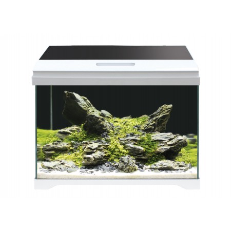 modern tank 50 led amtra 