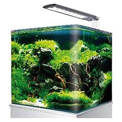 AMTRA NANOKANK SYSTEM 30 LED 2