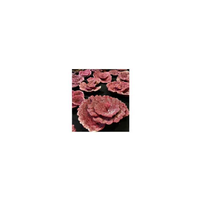 Flower Plates Real Reef Rock SYNITETIC ROCKS LIVES