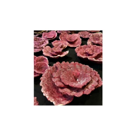 Flower Plates Real Reef Rock SYNITETIC ROCKS LIVES