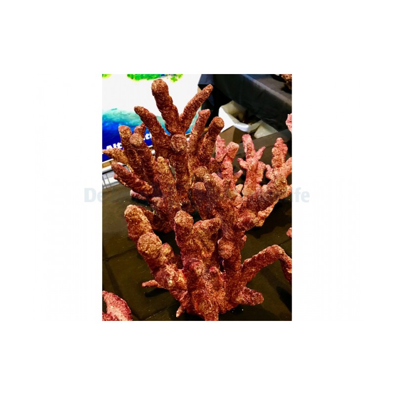 Branche de fantaisie Real Reef Rock Les rochers...