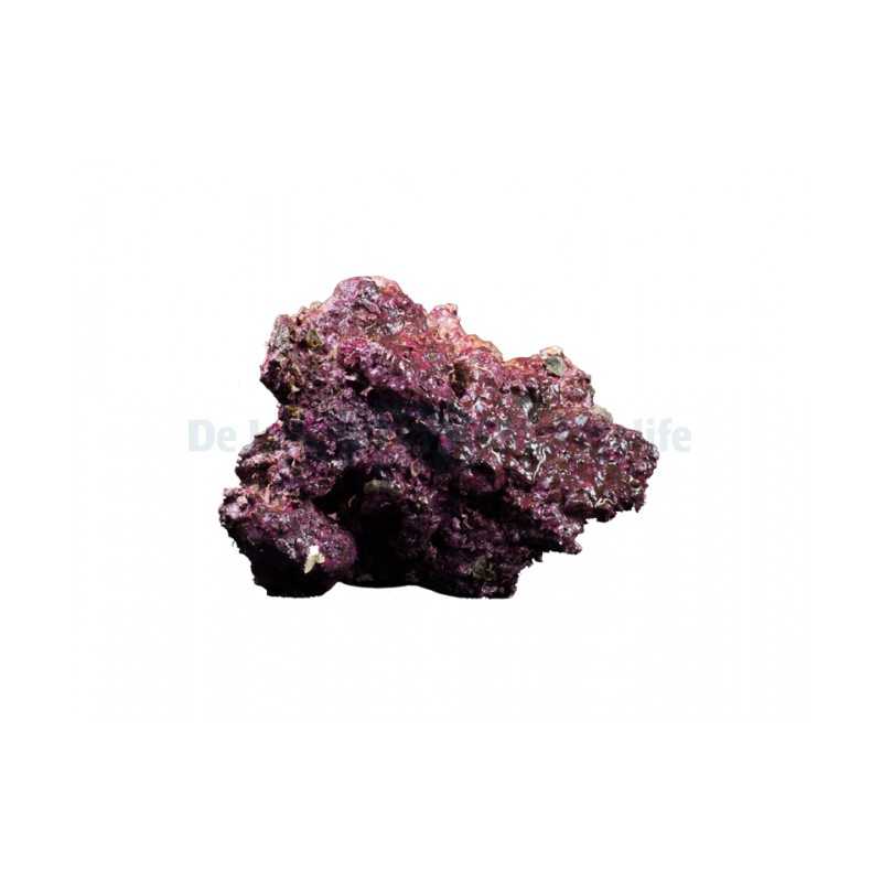 Real Reef Rock SYNITETIC ROCKS LIVES