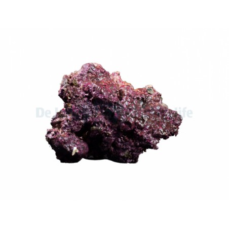 Real Reef Rock Living synthetic rocks