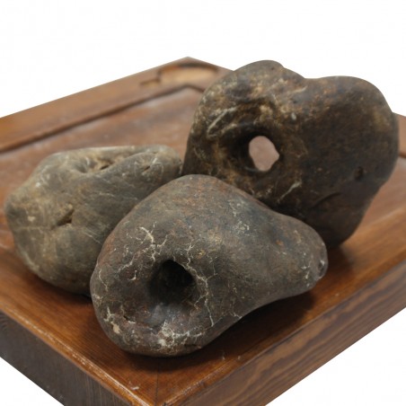 Black Hole Rocce amtra