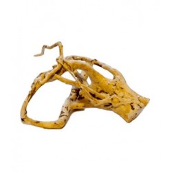 RED MOOR WOOD RAMO radici legni 2