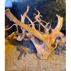 RED MOOR WOOD RAMO radici legni