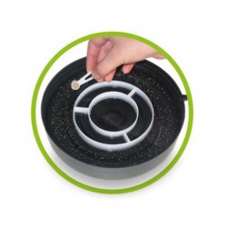 Artemia Hobby i'm sorry 2