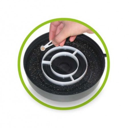 Artemia Hobby i'm sorry