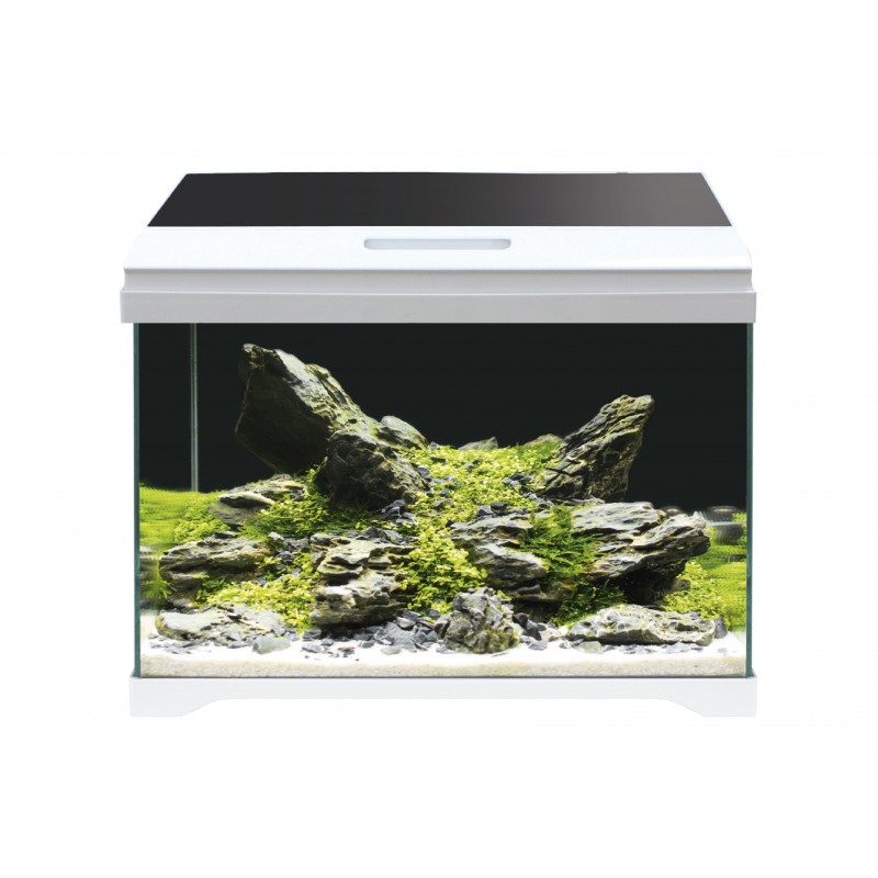modern tank 50 led amtra 