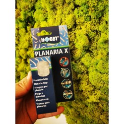 Trappola per Planaria X Hobby 2