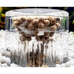 Capsules de pièges Planarie X Hobby 2