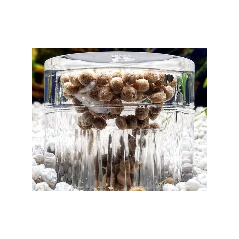 Capsule per Trappola per Planarie X Hobby