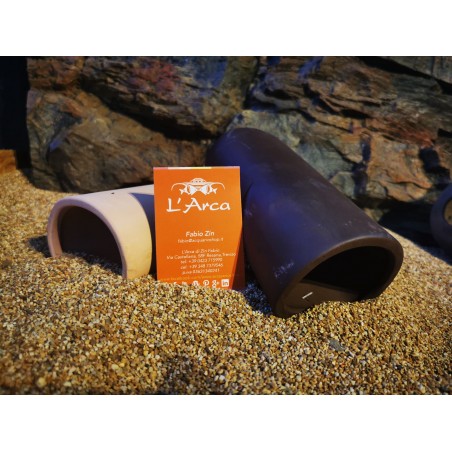 CAVE Poisson-chat CAVE L CASETTA CAVE L et CUSSY Reproduction Poisson