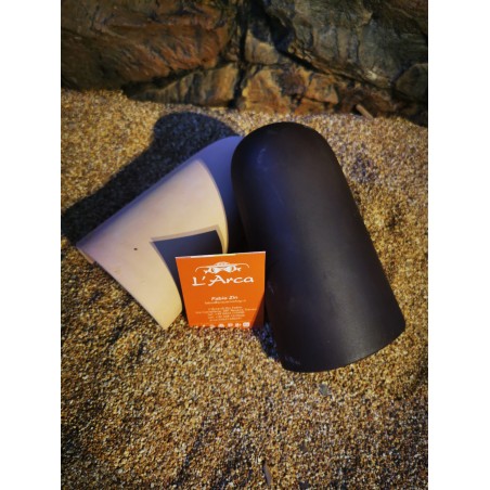 CATFISH CAVE L CASETTA CAVE L AND CUSSY REPRODUCTION FISH