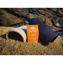 CATFISH CAVE L CASETTA CAVE L AND CUSSY REPRODUCTION FISH