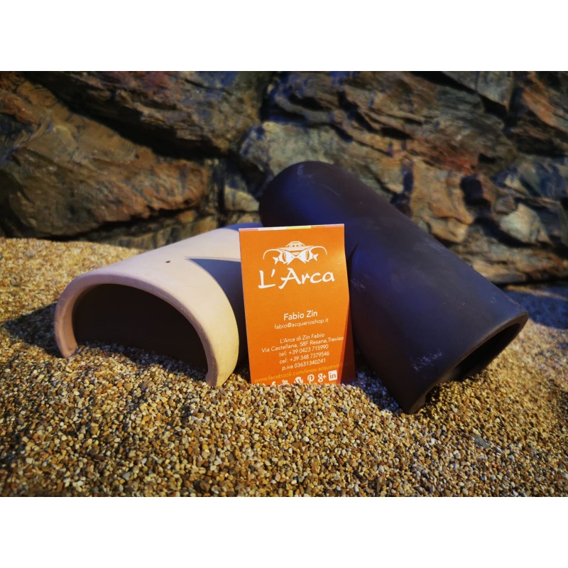 CAVE Poisson-chat CAVE L CASETTA CAVE L et...