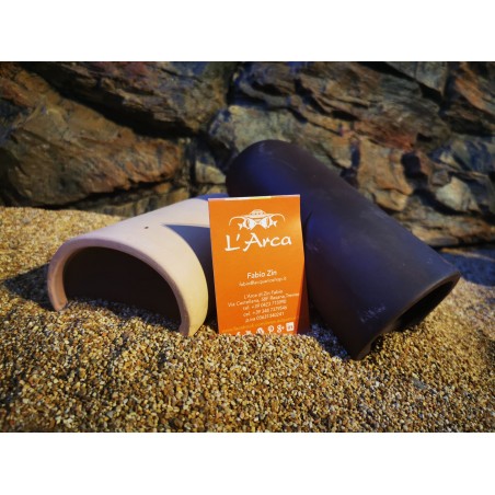 CATFISH CAVE L CASETTA CAVE L AND CUSSY REPRODUCTION FISH