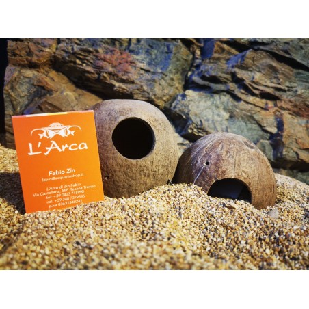 Noce di cocco per pesci Aqua Cave Hobby