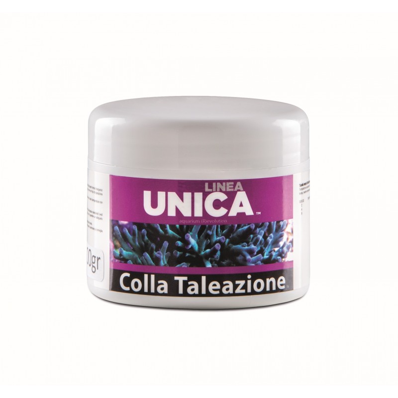 AGP Unica Line Colle Kit 100gr + 10 ml Catalyst...