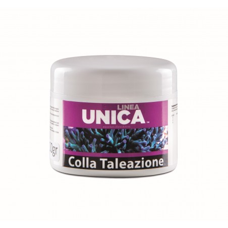 AGP Unica Line Colle Kit 100gr + 10 ml Catalyst - Sert à Taling