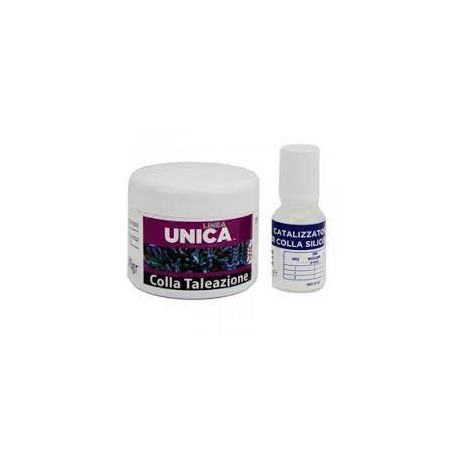 AGP Unica Line Colle Kit 100gr + 10 ml Catalyst - Sert à Taling