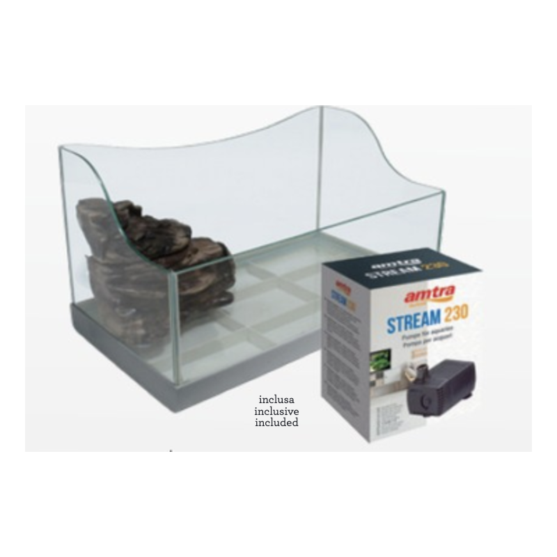 Tortue lys avec l'île d'AMRA