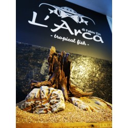 Roccia del Fiume Azzurro