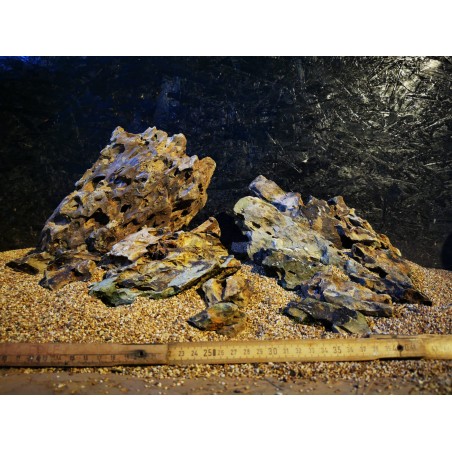 Pierre de dragon rocheux