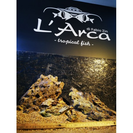 Pierre de dragon rocheux