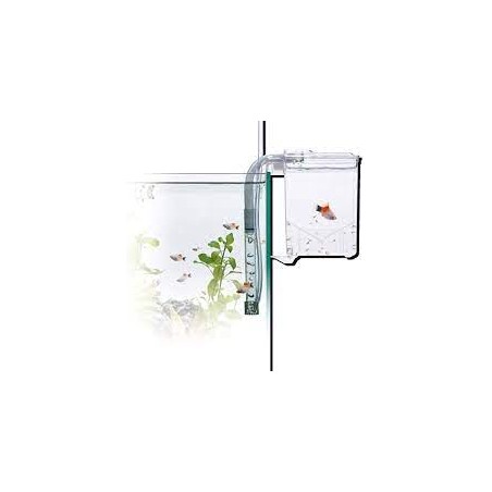 Returning room External backpack Amtra Nursery Breeding Box Hang on